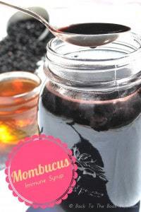 Mombucus Elderberry Immune Syrup for Cold and Flu | Back To The Book Nutrition