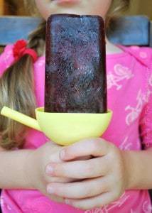 Elderberry Juice Pops - great, kid approved way to help fight off summer colds and flu! | Back To The Book Nutrition