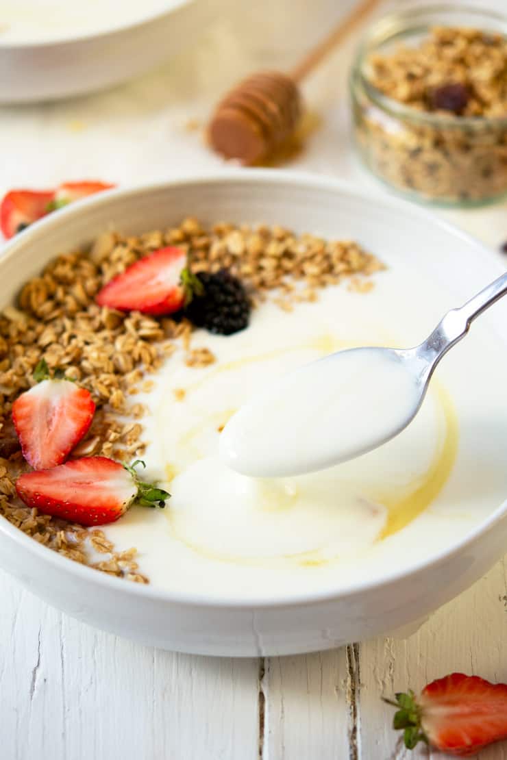 A side shot of homemade yogurt in a white bowl