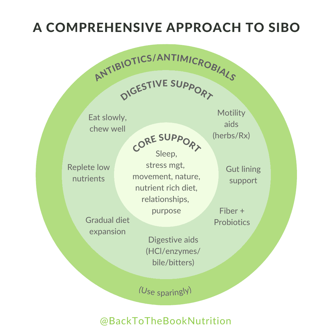 Graphic showing 3-pronged approach to fix SIBO for good using Core Support, Digestive Support, and Antibiotics or Antimidrobials