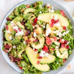 Overhead view of kale and quinoa salad in bowl with avocadoes, cranberries and almonds on white background