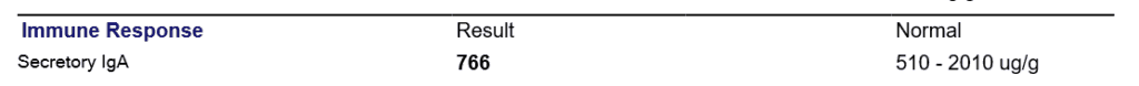 image of lab results - normal secretory IgA on GI MAP stool test