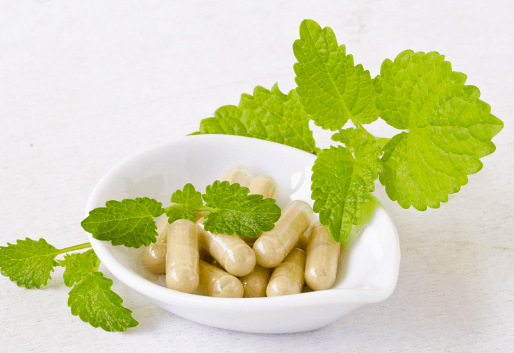 close up of lemon balm capsules in small white bowl with lemon balm leaves around it