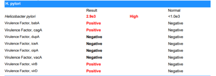 snip of H.pylori section of GI MAP test, including markers for H.pylori bacteria and multiple virulence factors