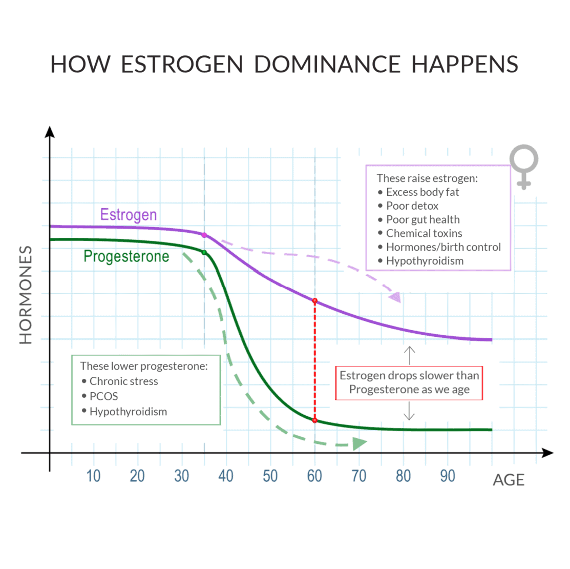 Line graph showing drops in estrogen and progesterone as women age, plus lifestyle factors that further raise estrogen and lower progesterone