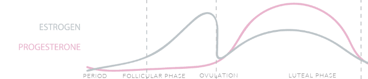 Line graph of changes in estrogen and progesterone during phases of monthly menstrual cycle