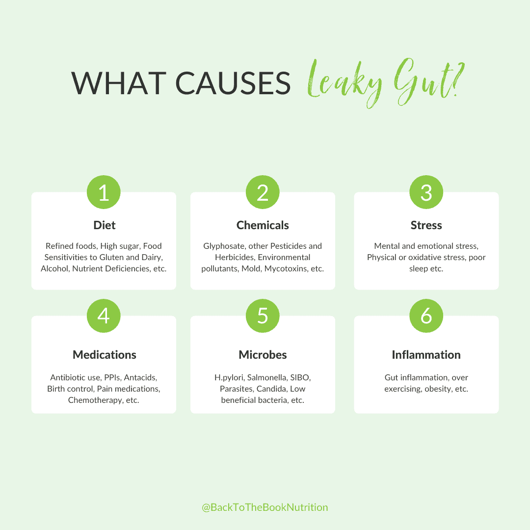 Causes of leaky gut infographic - 6 category blocks with examples under each on a green background